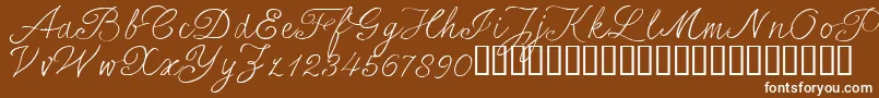 SersalT Font – White Fonts on Brown Background