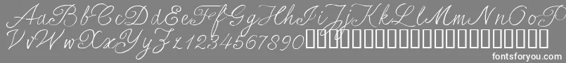 SersalT Font – White Fonts on Gray Background