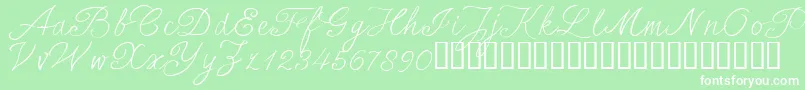 SersalT Font – White Fonts on Green Background