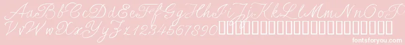 SersalT Font – White Fonts on Pink Background