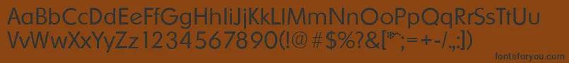 OrnitonsserialLightRegular Font – Black Fonts on Brown Background