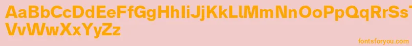 fuente Analogue75bold – Fuentes Naranjas Sobre Fondo Rosa