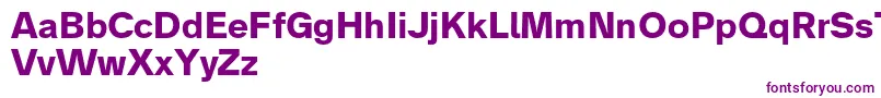 Analogue75bold-fontti – violetit fontit