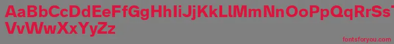 Analogue75bold Font – Red Fonts on Gray Background