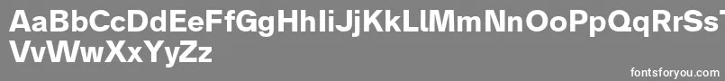 Czcionka Analogue75bold – białe czcionki na szarym tle