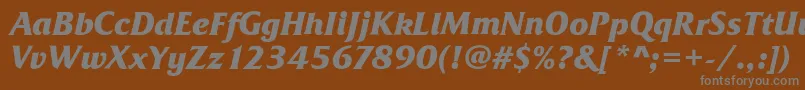 FrizQuadrataBoldItalic Font – Gray Fonts on Brown Background