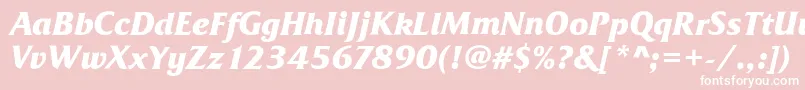 FrizQuadrataBoldItalic Font – White Fonts on Pink Background