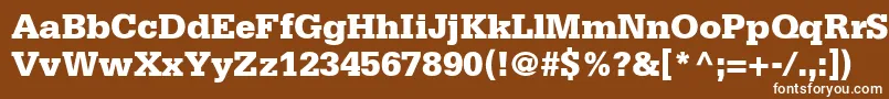 フォントMetronBlackSsiBlack – 茶色の背景に白い文字