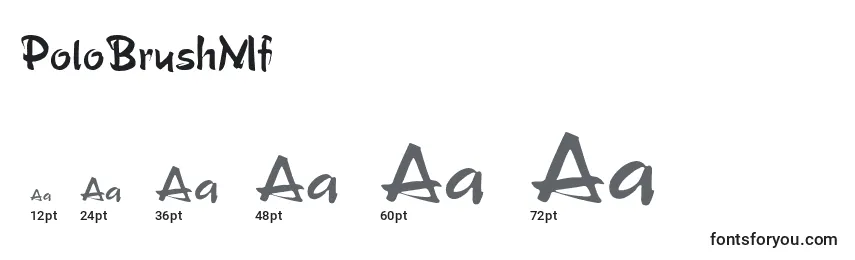 PoloBrushMf Font Sizes