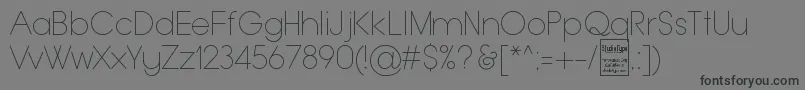 フォントTypoGroteskThinDemo – 黒い文字の灰色の背景