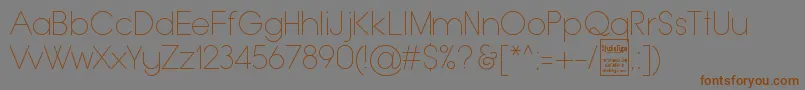 フォントTypoGroteskThinDemo – 茶色の文字が灰色の背景にあります。
