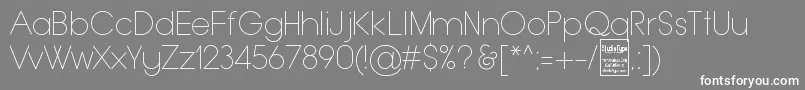 TypoGroteskThinDemo-Schriftart – Weiße Schriften auf grauem Hintergrund