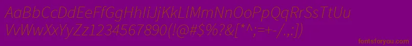 SourcesansproLightitalic Font – Brown Fonts on Purple Background