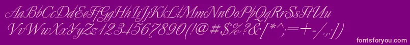 DecorItalic Font – Pink Fonts on Purple Background