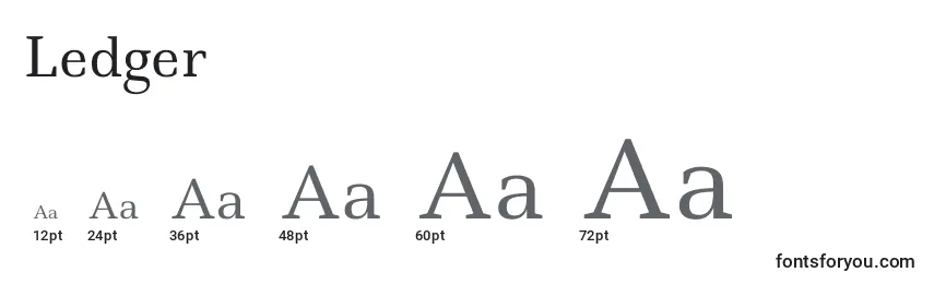 Ledger Font Sizes