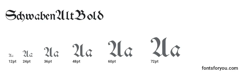 SchwabenAltBold Font Sizes