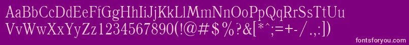 Antiqua85n Font – Pink Fonts on Purple Background