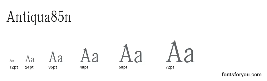 Antiqua85n Font Sizes