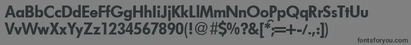 FunctiontwoheavyRegular Font – Black Fonts on Gray Background