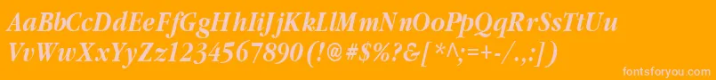 ClassicRussianBoldItalic.001.001 Font – Pink Fonts on Orange Background
