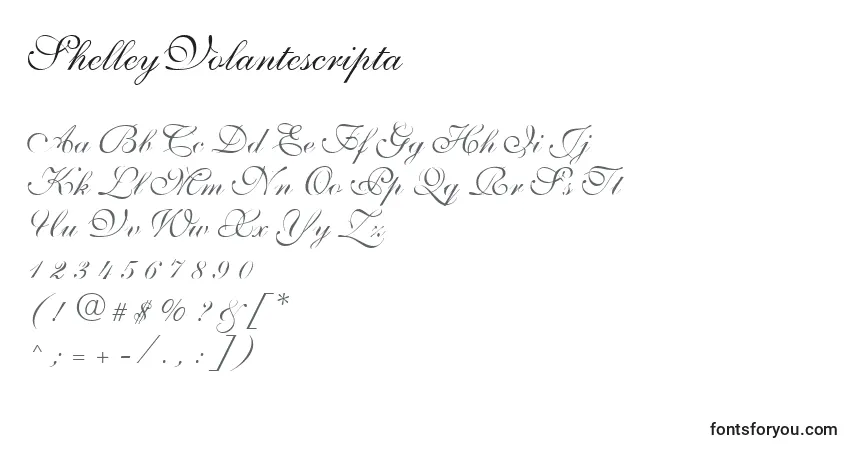 ShelleyVolantescripta-fontti – aakkoset, numerot, erikoismerkit