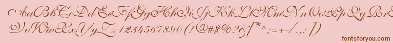 ShelleyVolantescripta Font – Brown Fonts on Pink Background