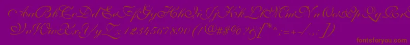 ShelleyVolantescripta-Schriftart – Braune Schriften auf violettem Hintergrund