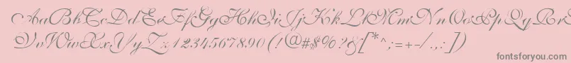 ShelleyVolantescripta-Schriftart – Graue Schriften auf rosa Hintergrund