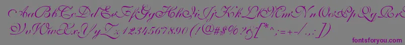 ShelleyVolantescripta Font – Purple Fonts on Gray Background