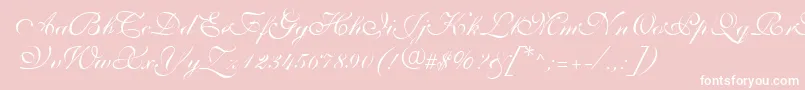 ShelleyVolantescripta Font – White Fonts on Pink Background