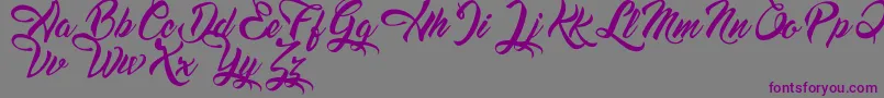 DreamsAmericanDinerDemo Font – Purple Fonts on Gray Background