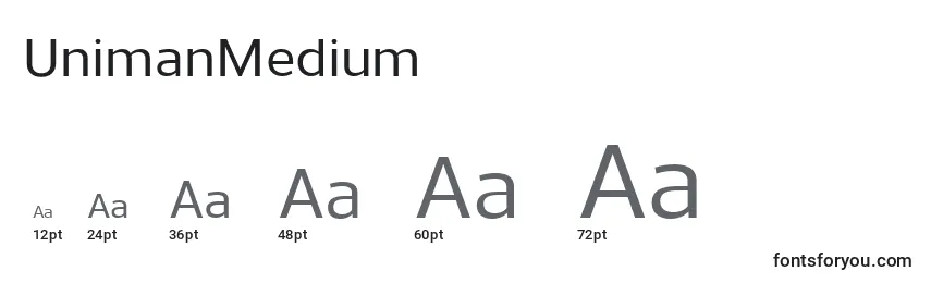 Размеры шрифта UnimanMedium