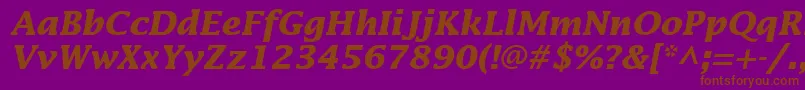 InsightSsiBoldItalic Font – Brown Fonts on Purple Background