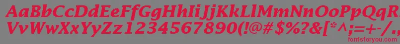 InsightSsiBoldItalic Font – Red Fonts on Gray Background