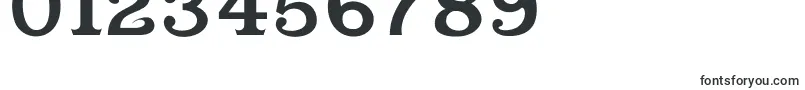 Cabbagetownsmcaps Font – Fonts for Numbers and Digits