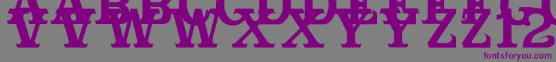 Cabbagetownsmcaps Font – Purple Fonts on Gray Background