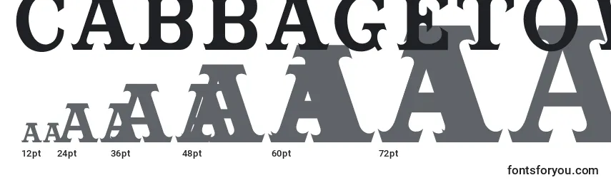 Cabbagetownsmcaps Font Sizes