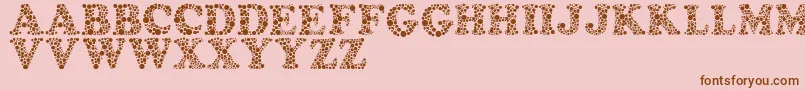 Amydor Font – Brown Fonts on Pink Background