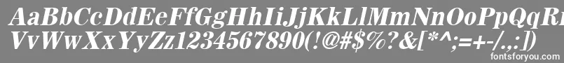 フォントSachemBoldOblique – 灰色の背景に白い文字