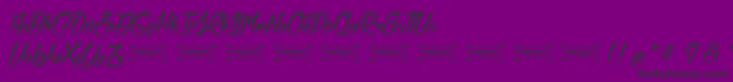 LaCitadelleDesPapillons Font – Black Fonts on Purple Background
