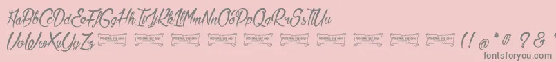 LaCitadelleDesPapillons Font – Gray Fonts on Pink Background