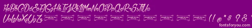 LaCitadelleDesPapillons Font – Pink Fonts on Purple Background