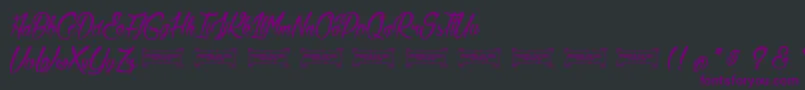 LaCitadelleDesPapillons-Schriftart – Violette Schriften auf schwarzem Hintergrund