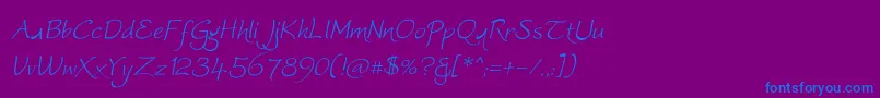 Worstveldslingextraoblique Font – Blue Fonts on Purple Background