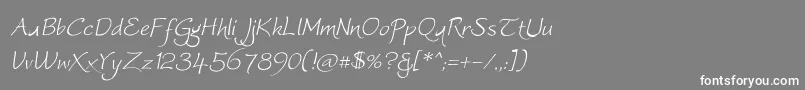 Worstveldslingextraoblique Font – White Fonts on Gray Background