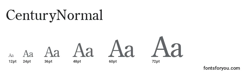 CenturyNormal Font Sizes