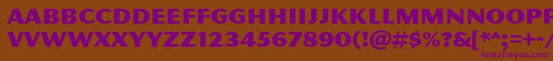 Magnesiummvbstd Font – Purple Fonts on Brown Background