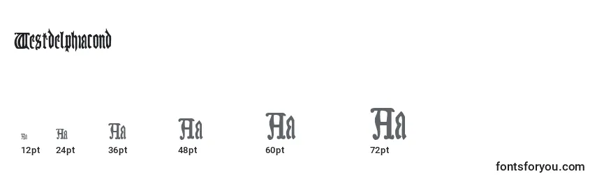 Westdelphiacond Font Sizes