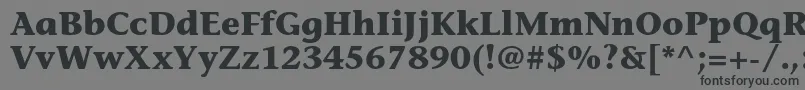 Шрифт StoneinformalstdBold – чёрные шрифты на сером фоне
