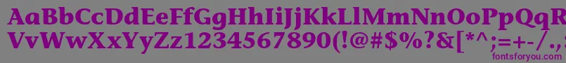 StoneinformalstdBold Font – Purple Fonts on Gray Background